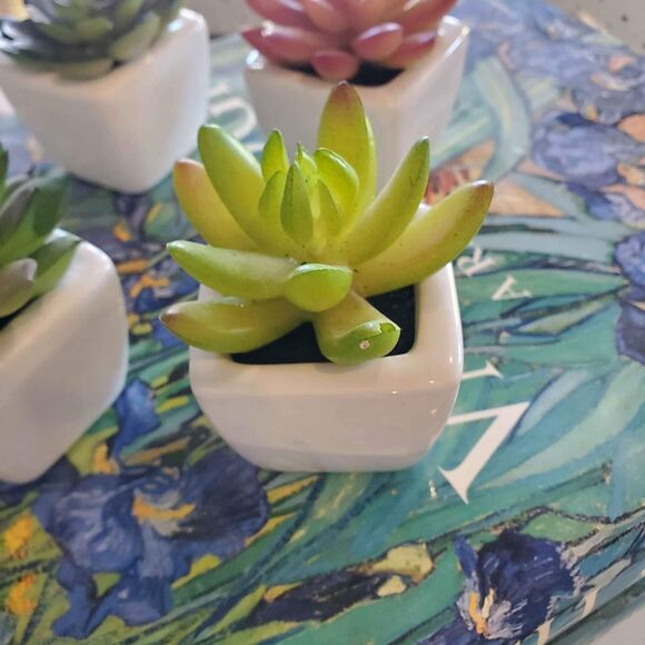 Faux potted mini succulents - Picture 2 of 3